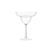 VIVA "RIO" POLYCARB MARGARITA 355ml (DRI-024) Box of 12 - Hospitality Connect