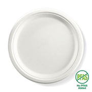 BIOPAK  25cm / 10" Round Plant Fibre Plate 500 Units - Hospitality Connect