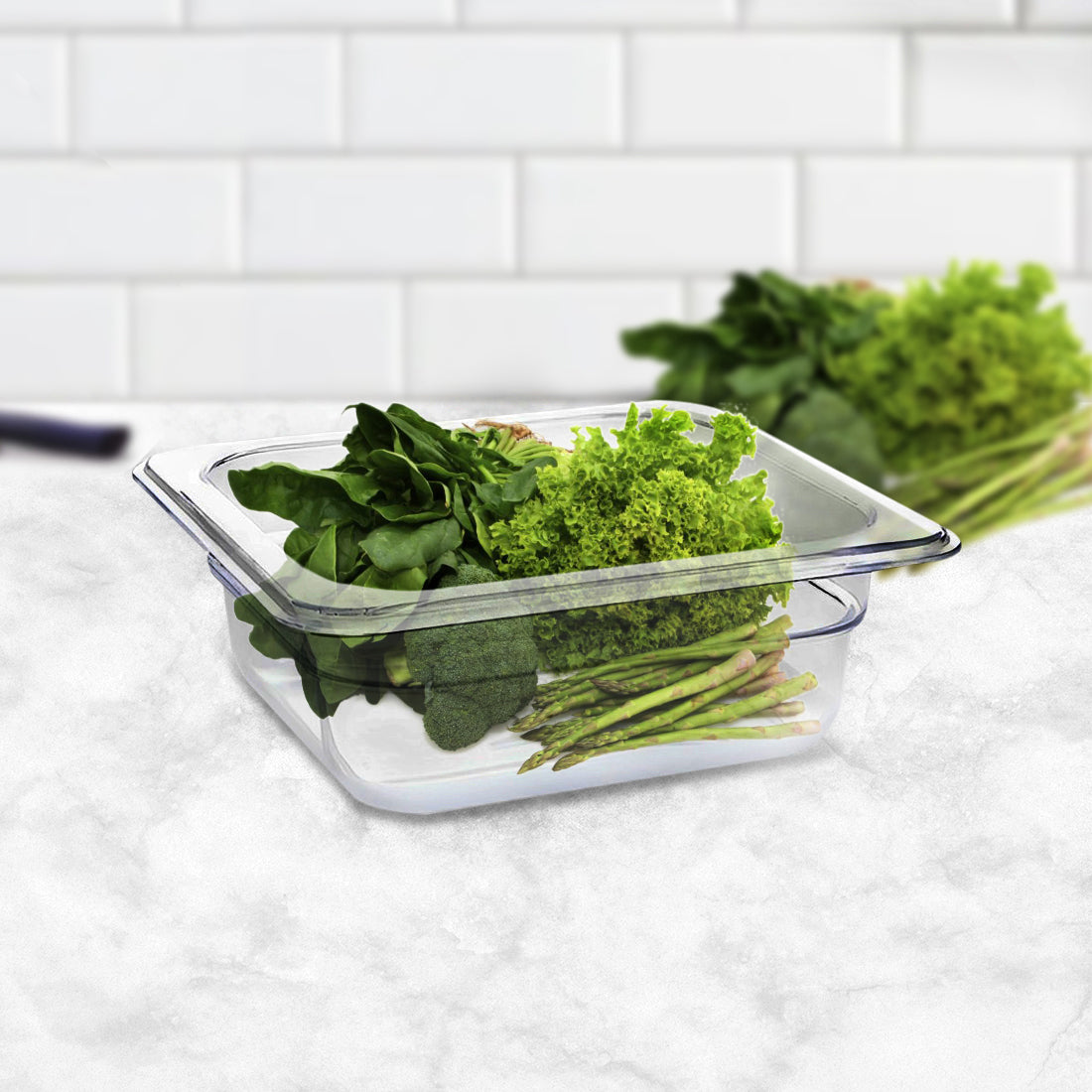 SOGA 65mm Clear Gastronorm GN Pan 1/6 Food Tray Storage - Hospitality Connect