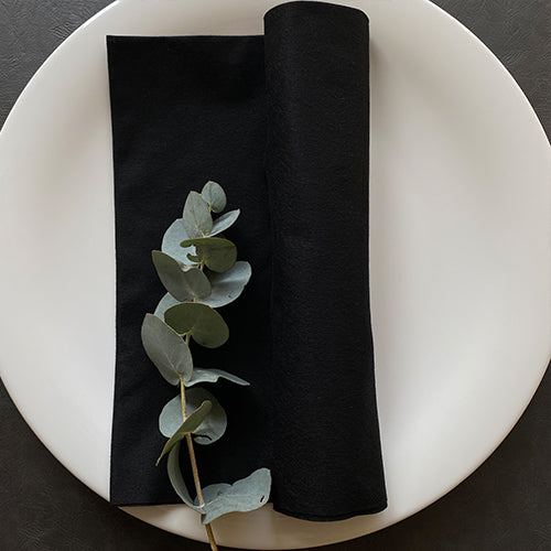 Bionap  Napkin Extra Soft 48x48 Black x500 (10x50) Compostable Box of 500 - Hospitality Connect