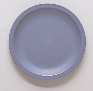 CAMBRO Camwear Plate 22.9cm Narrow Rim Slate Blue Box of 12