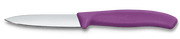 VICTORINOX Paring Knife, Straight Edge 8cm - New Purple - Hospitality Connect
