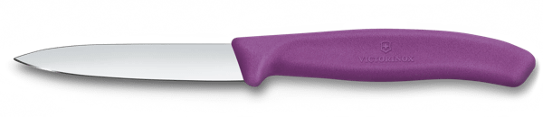 VICTORINOX Paring Knife, Straight Edge 8cm - New Purple - Hospitality Connect