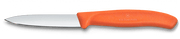 VICTORINOX Paring Knife, Straight Edge 8cm - New Orange - Hospitality Connect