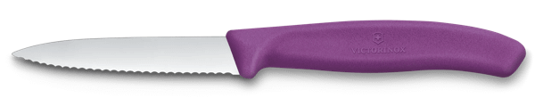 VICTORINOX Paring Knife, Wavy Edge 8cm - New Purple - Hospitality Connect