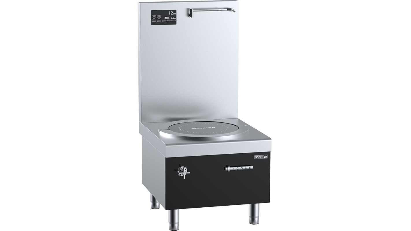 Scooker Induction Stock Pot Cooker HLTLD-C12