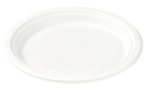 Pakmax 10" Sugarcane Round Plate,Ø258*20.5mm - PL-R10 500