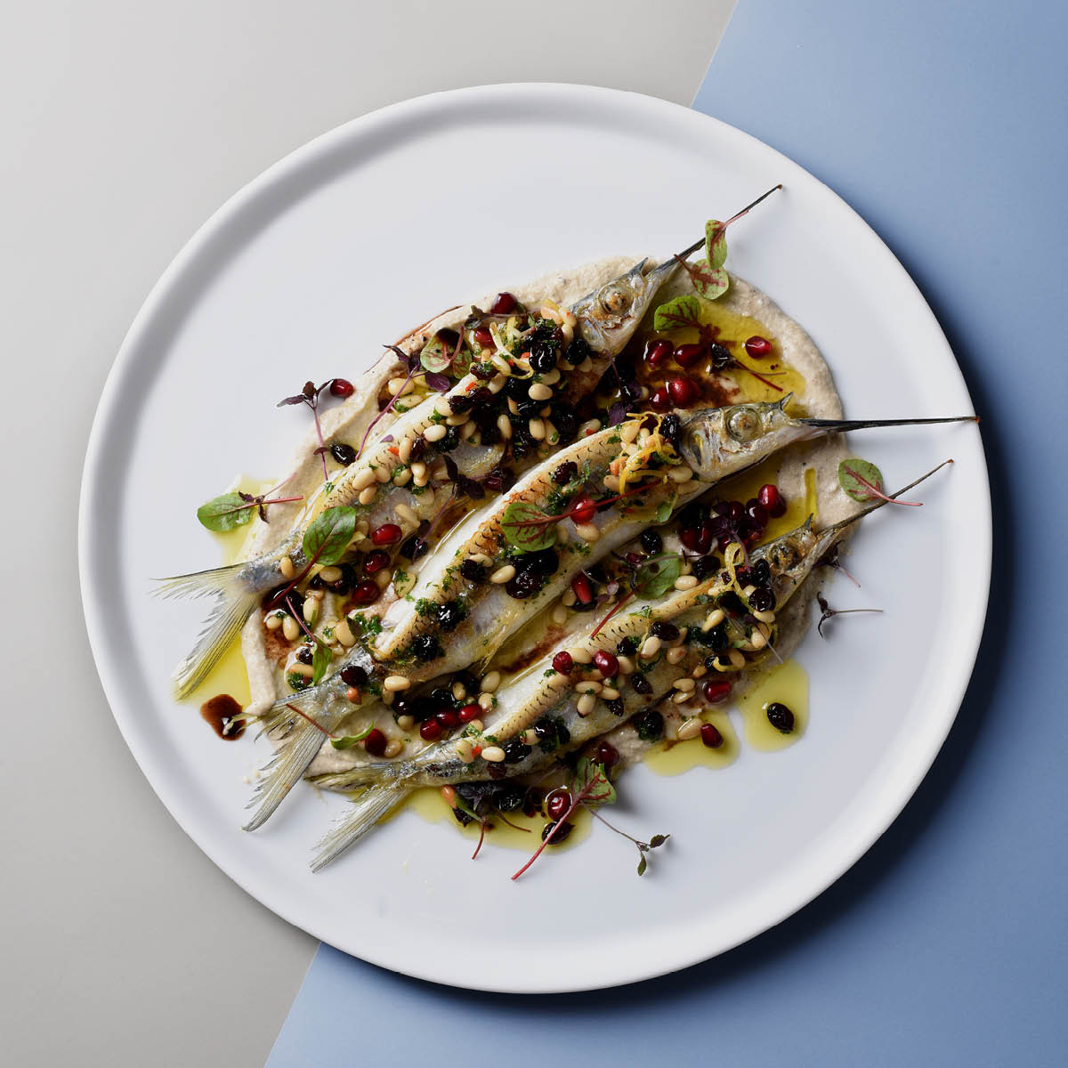 Royal Porcelain WHITE ALBUM ROUND FLARED COUPE PLATE 270x20mm (U3202) Box of 12 - Hospitality Connect