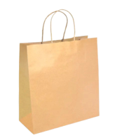 Pakmax Small  Twist Handle Kraft Paper Bags - RPFR-120-S 300