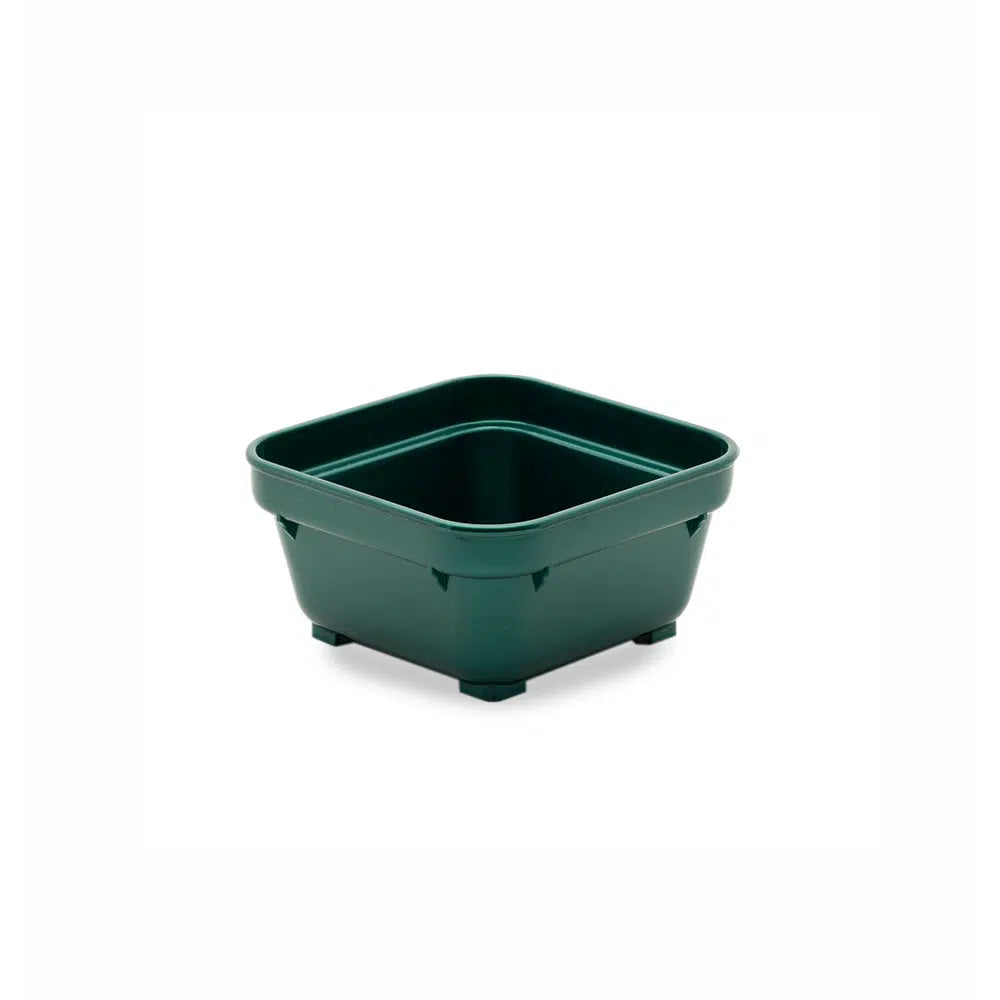 KH HEALTHCARE SQUARE BOWL 100MM GREEN PP (#19) Box of 12