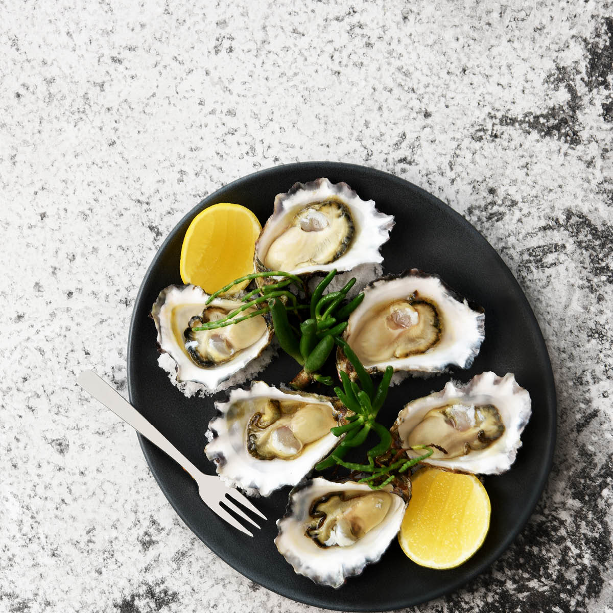 TABLEKRAFT ARTISTICA ROUND PLATE ROLLD EDGE 270x30mm SLATE Box of 4 - Hospitality Connect