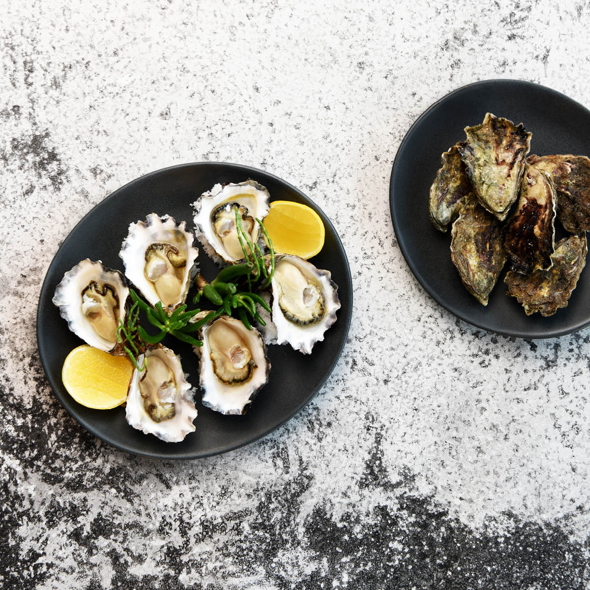 TABLEKRAFT ARTISTICA OVAL COUPE PLATE 210x190x30mm SLATE Box of 4 - Hospitality Connect