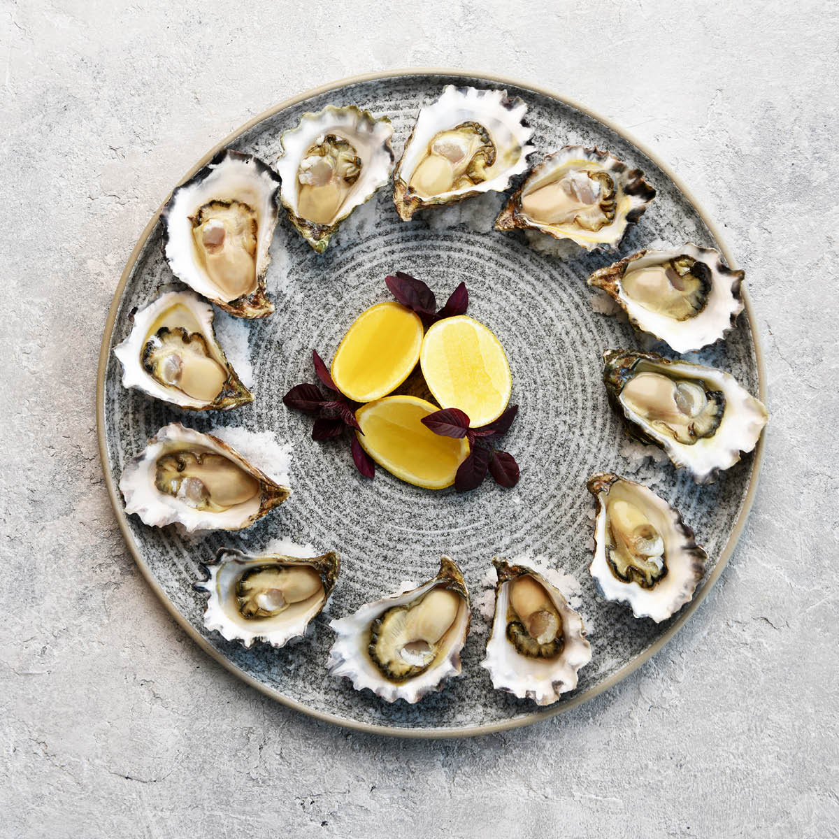 TABLEKRAFT SOHO ROUND PLATTER 330x15mm EFFECT Box of 2 - Hospitality Connect