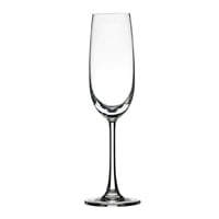 Ocean Madison Champagne Flute 210ml Pack of 24 - Hospitality Connect