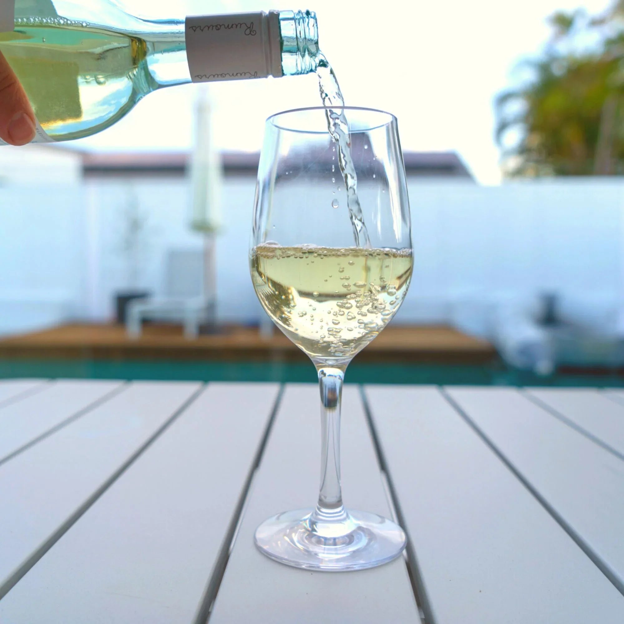 D-Still Unbreakable White Wine Glass Pc 315ml Box of 4 - Hospitality Connect
