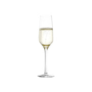 STOLZLE EXPERIENCE CHAMPAGNE FLUTE 190ml (220 00 07) Box of 6 - Hospitality Connect