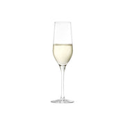 STOLZLE ULTRA CHAMPAGNE FLUTE 185ml (376 00 07) Box of 6 - Hospitality Connect