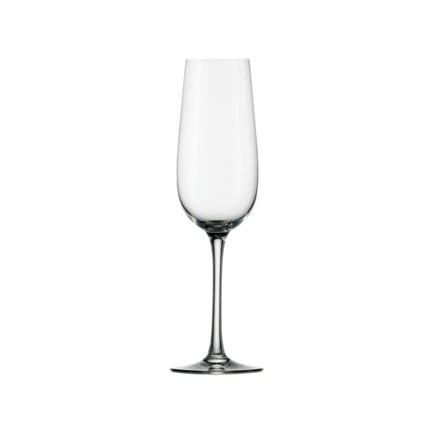 STOLZLE WEINLAND CHAMPAGNE FLUTE 200ml (100 00 07) Box of 6 - Hospitality Connect
